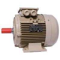 Електродвигун IE3 енергоефективний LEDERMANN L3E A 132SA4 5.5 кВт 1500 об/хв B3 стандарт DIN - 2 - ekvives.com