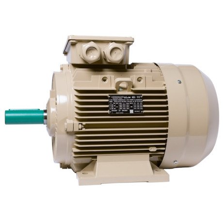 Electric motor IE3 energy-efficient LEDERMANN L3E A 160MA6 7.50 kW 1000 rpm B3 - 4