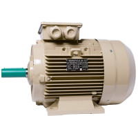Електродвигун IE3 енергоефективний LEDERMANN L3E G 160LC8 7.50 кВт 750 об/хв B3 - 2 - ekvives.com