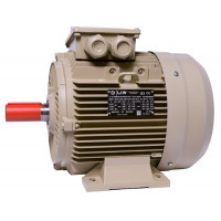 Електродвигун IE3 енергоефективний LEDERMANN L3E A 132MK2 11.0 кВт 3000 об/хв B3  - 2 - ekvives.com
