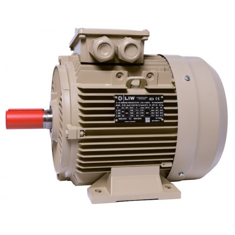 Електродвигун IE3 енергоефективний LEDERMANN L3E A 132MK2 11.0 кВт 3000 об/хв B3 - 3