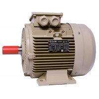 Електродвигун IE3 енергоефективний LEDERMANN L3E A 132MK2 11.0 кВт 3000 об/хв B3  - 2 - ekvives.com