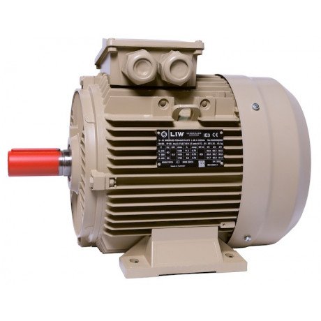 Електродвигун IE3 енергоефективний LEDERMANN L3E A 132MK2 11.0 кВт 3000 об/хв B3 - 3