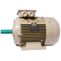 Electric motor IE3 energy-efficient LEDERMANN L3E G 160LA6 11 kW 1000 rpm B3  - 2 - ekvives.com