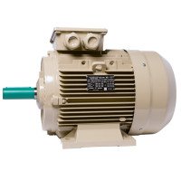 Електродвигун IE3 енергоефективний LEDERMANN L3E G 160MB2 15.0 кВт 3000 об/хв B3 стандарт DIN - 2 - ekvives.com