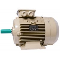 Electric motor IE3 energy-efficient LEDERMANN L3E A 160LA4 15 kW 1500 rpm B3 - 2 - ekvives.com