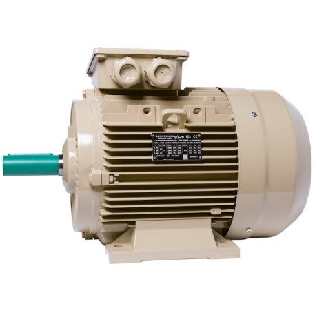 Electric motor IE3 energy-efficient LEDERMANN L3E G 160LA4 15 kW 1500 rpm B3 - 4