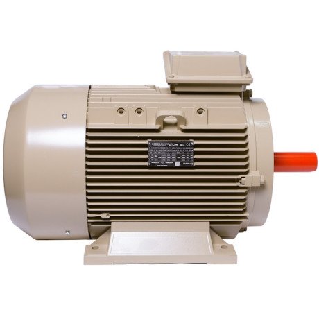 Electric motor IE3 energy-efficient LEDERMANN L3E G 180LA6 15 kW 1000 rpm B3 - 4