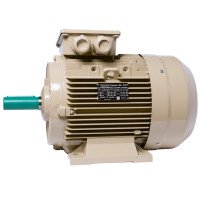 Electric motor IE3 energy-efficient LEDERMANN L3E A 160LA2 18.50 kW 3000 rpm B3 - 2 - ekvives.com