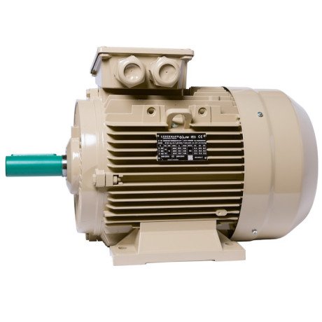 Electric motor IE3 energy-efficient LEDERMANN L3E A 160LA2 18.50 kW 3000 rpm B3 - 4