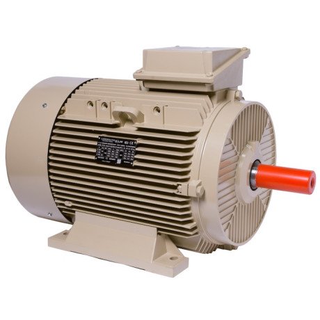 Electric motor IE3 energy-efficient LEDERMANN L3E A 180MA4 18.50 kW 1500 rpm B3 - 1