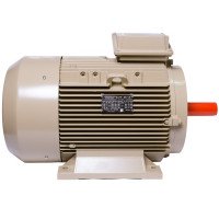 Електродвигун IE3 енергоефективний LEDERMANN L3E A 180MA4 18.5 кВт 1500 об/хв B3 стандарт DIN - 2 - ekvives.com