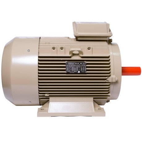 Electric motor IE3 energy-efficient LEDERMANN L3E A 180MA4 18.50 kW 1500 rpm B3 - 4