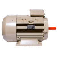 Електродвигун IE3 енергоефективний LEDERMANN L3E A 180MA2 22.0 кВт 3000 об/хв B3 стандарт DIN - 2 - ekvives.com