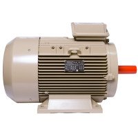 Електродвигун IE3 енергоефективний LEDERMANN L3E G 180LA4 22.0 кВт 1500 об/хв B3 стандарт DIN - 2 - ekvives.com