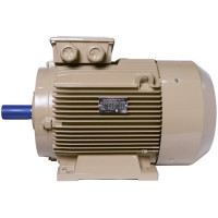 Електродвигун IE3 енергоефективний LEDERMANN L3E G 200LB6 22.0 кВт 1000 об/хв B3 стандарт DIN - 2 - ekvives.com