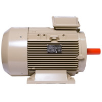 Electric motor IE3 energy-efficient LEDERMANN L3E A 180LK4 30 kW 3000 rpm B3 - 2 - ekvives.com