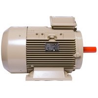 Електродвигун IE3 енергоефективний LEDERMANN L3E G 180MK2 30.0 кВт 3000 об/хв B3  - 2 - ekvives.com