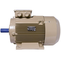 Електродвигун IE3 енергоефективний LEDERMANN L3E G 200LB2 37.0 кВт 3000 об/хв B3 стандарт DIN - 2 - ekvives.com