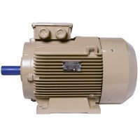 Електродвигун IE3 енергоефективний LEDERMANN L3E A 200LK4 37.0 кВт 1500 об/хв B3 - 2 - ekvives.com