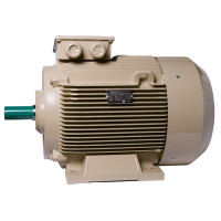 Електродвигун IE3 енергоефективний LEDERMANN L3E G 225MK6 37.0 кВт 1000 об/хв B3 - 2 - ekvives.com
