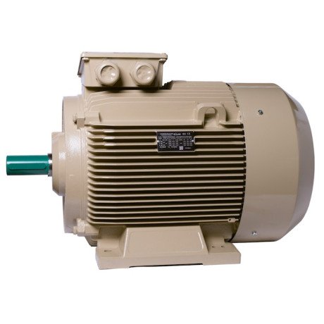 Електродвигун IE3 енергоефективний LEDERMANN L3E G 225MK6 37.0 кВт 1000 об/хв B3 - 2