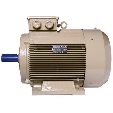 Electric motor IE3 energy-efficient LEDERMANN L3E G 280SA8 37 kW 750 rpm B3 - 2