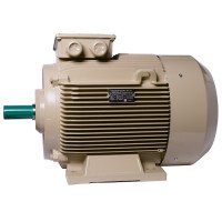 Електродвигун IE3 енергоефективний LEDERMANN L3E A 225MA2 45.0 кВт 3000 об/хв B3 стандарт DIN - 2 - ekvives.com