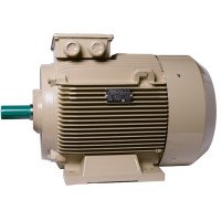 Електродвигун IE3 енергоефективний LEDERMANN L3E G 225MA4 45.0 кВт 1500 об/хв B3 стандарт DIN - 2 - ekvives.com