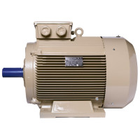 Электродвигатель IE3 энергоэффективный LEDERMANN L3E G 250MK6 45 кВт 1000 об/мин B3 - 2 - ekvives.com