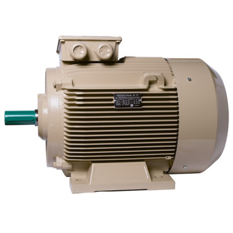 Електродвигун IE3 енергоефективний LEDERMANN L3E A 225MK2 55.0 кВт 3000 об/хв B3 - 3