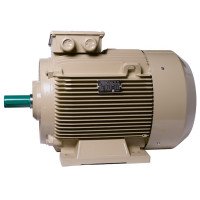 Electric motor IE3 energy-efficientt LEDERMANN L3E A 225MK2 55 kW 3000 rpm B3 - 2 - ekvives.com