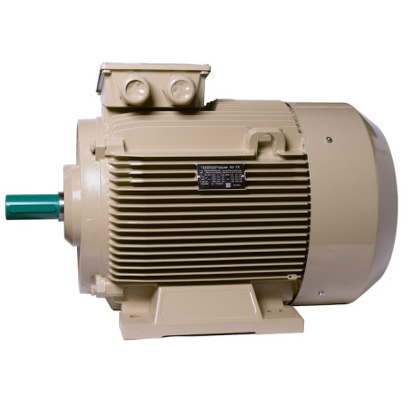 Електродвигун IE3 енергоефективний LEDERMANN L3E G 225MK2 55.0 кВт 3000 об/хв B3 - 3