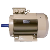 Электродвигатель IE3 энергоэффективный LEDERMANN L3E G 250MA2 55 кВт 3000 об/мин B3 - 2 - ekvives.com