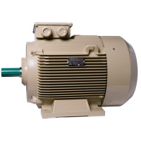 Електродвигун IE3 енергоефективний LEDERMANN L3E A 225MK4 55.0 кВт 1500 об/хв B3 - 2 - ekvives.com