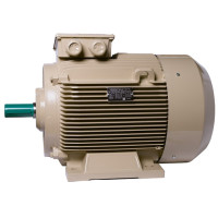 Електродвигун IE3 енергоефективний LEDERMANN L3E G 225MK4 55.0 кВт 1500 об/хв B3 - 2 - ekvives.com