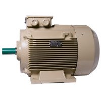 Електродвигун IE3 енергоефективний LEDERMANN L3E G 225MK4 55.0 кВт 1500 об/хв B3 - 2 - ekvives.com
