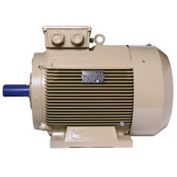 Електродвигун IE3 енергоефективний LEDERMANN L3E G 250MK4 75.0 кВт 1500 об/хв B3 - 2 - ekvives.com