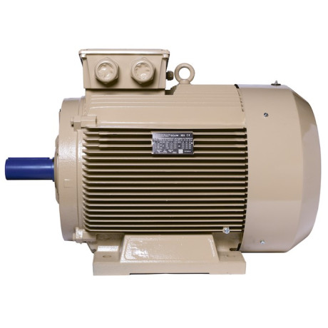 Електродвигун IE3 енергоефективний LEDERMANN L3E G 250MK4 75.0 кВт 1500 об/хв B3 - 3