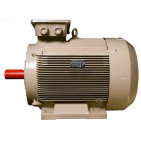 Електродвигун IE3 енергоефективний LEDERMANN L3E G 315MA8 75.0 кВт 750 об/хв B3 стандарт DIN - 2 - ekvives.com