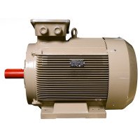 Електродвигун IE3 енергоефективний LEDERMANN L3E G 315MB8 90.0 кВт 750 об/хв B3 стандарт DIN - 2 - ekvives.com