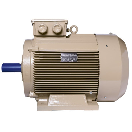 Електродвигун IE3 енергоефективний LEDERMANN L3E G 280MK4 110.0 кВт 1500 об/хв B3 - 2