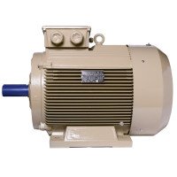 Електродвигун IE3 енергоефективний LEDERMANN L3E G 280MK4 110.0 кВт 1500 об/хв B3 - 2 - ekvives.com