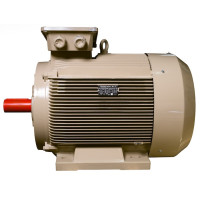 Електродвигун IE3 енергоефективний LEDERMANN L3E G 315MK6 160.0 кВт 1000 об/хв B3  - 2 - ekvives.com