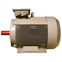 Електродвигун IE3 енергоефективний LEDERMANN L3E G 315MK2 250.0 кВт 3000 об/хв B3 - 2 - ekvives.com
