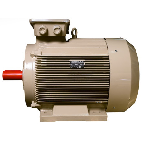 Електродвигун IE3 енергоефективний LEDERMANN L3E G 315MK4 250.0 кВт 1500 об/хв B3 - 2
