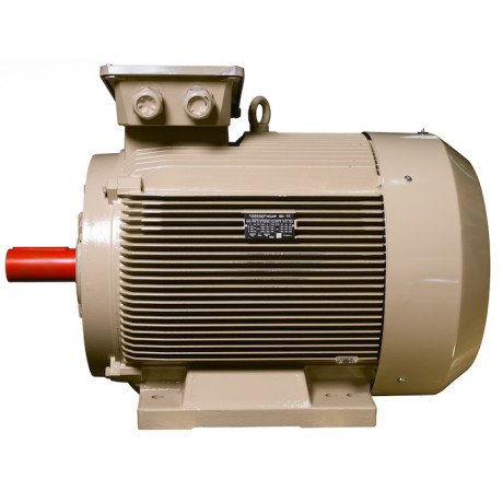 Электродвигатель IE3 энергоэффективный LEDERMANN L3E G 355MC2 355 кВт 3000 об/мин B3 - 2