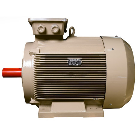 Електродвигун IE3 енергоефективний LEDERMANN L3E G 355LB6 355.0 кВт 1000 об/хв B3 стандарт DIN - 2