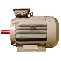 Electric motor IE3 energy-efficient LEDERMANN L3E G 355LA2 400 kW 3000 rpm B3 - 2 - ekvives.com