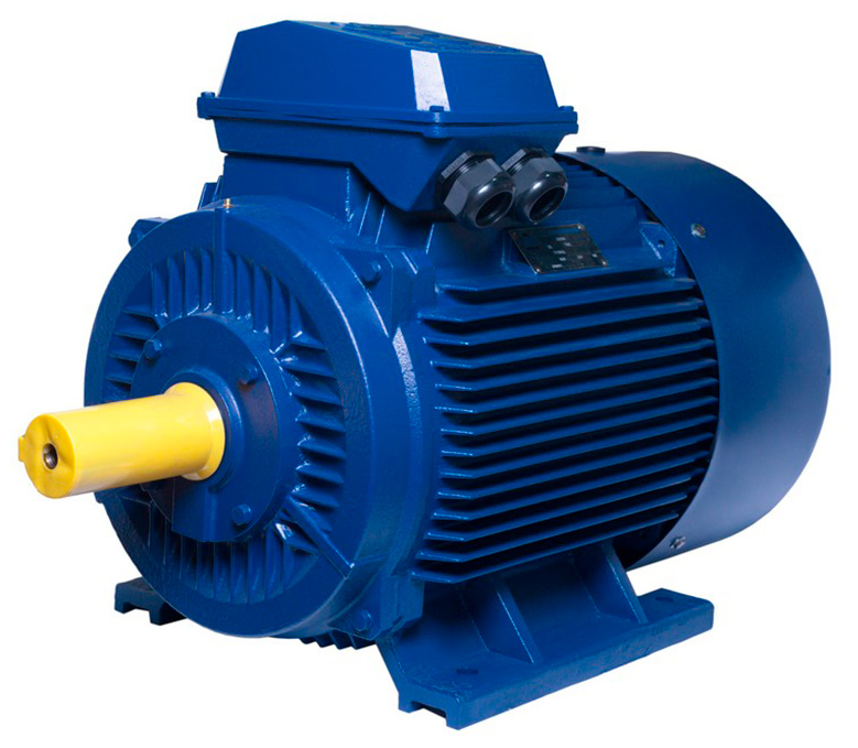 АИР280M10 electric motor 45 KW 600 rpm IM1081 - ekvives.com